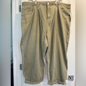 Pilcro by Anthropologie The Breaker Barrel Leg Jeans Sage Denim Womens 24W NWT